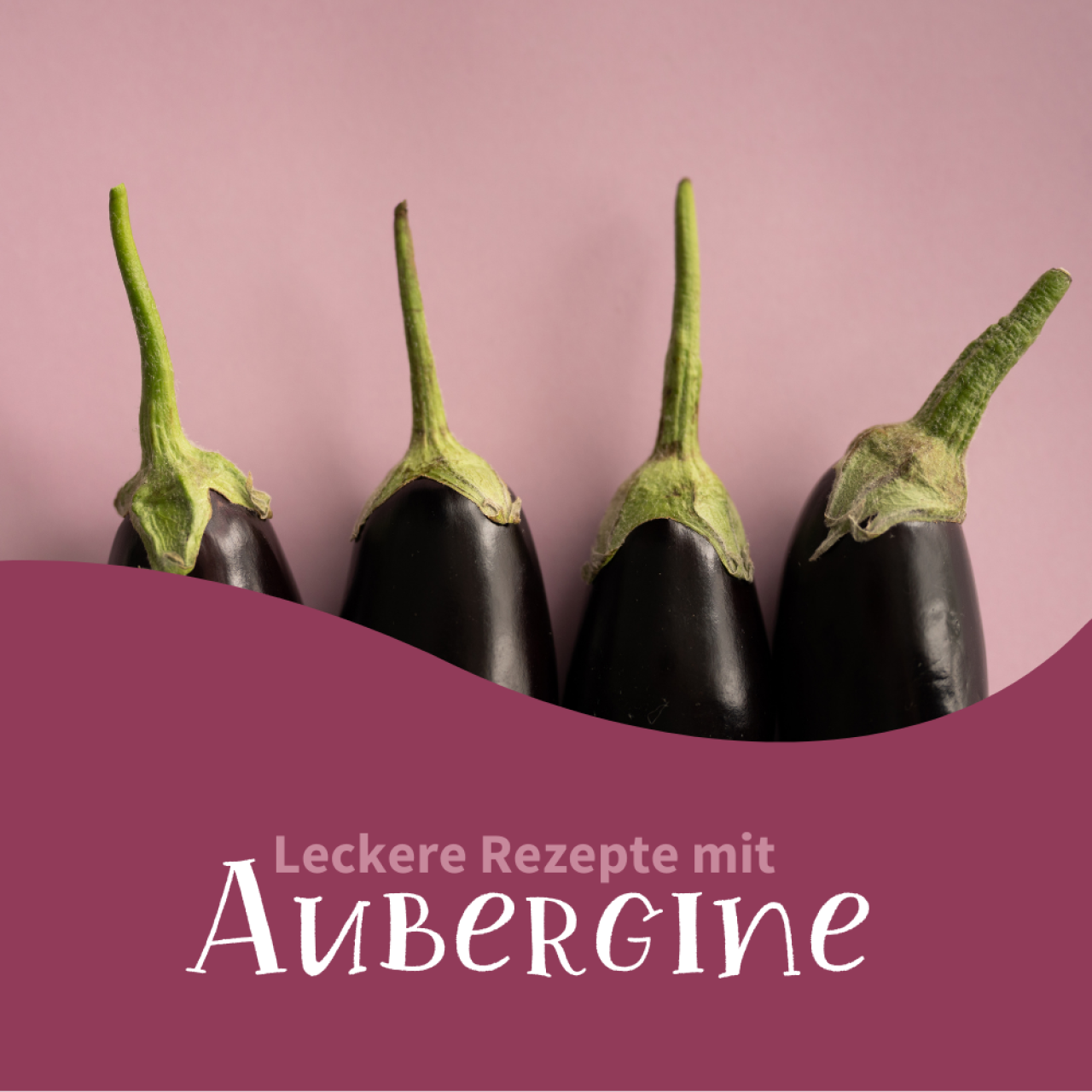 Auberginen-Rezepte