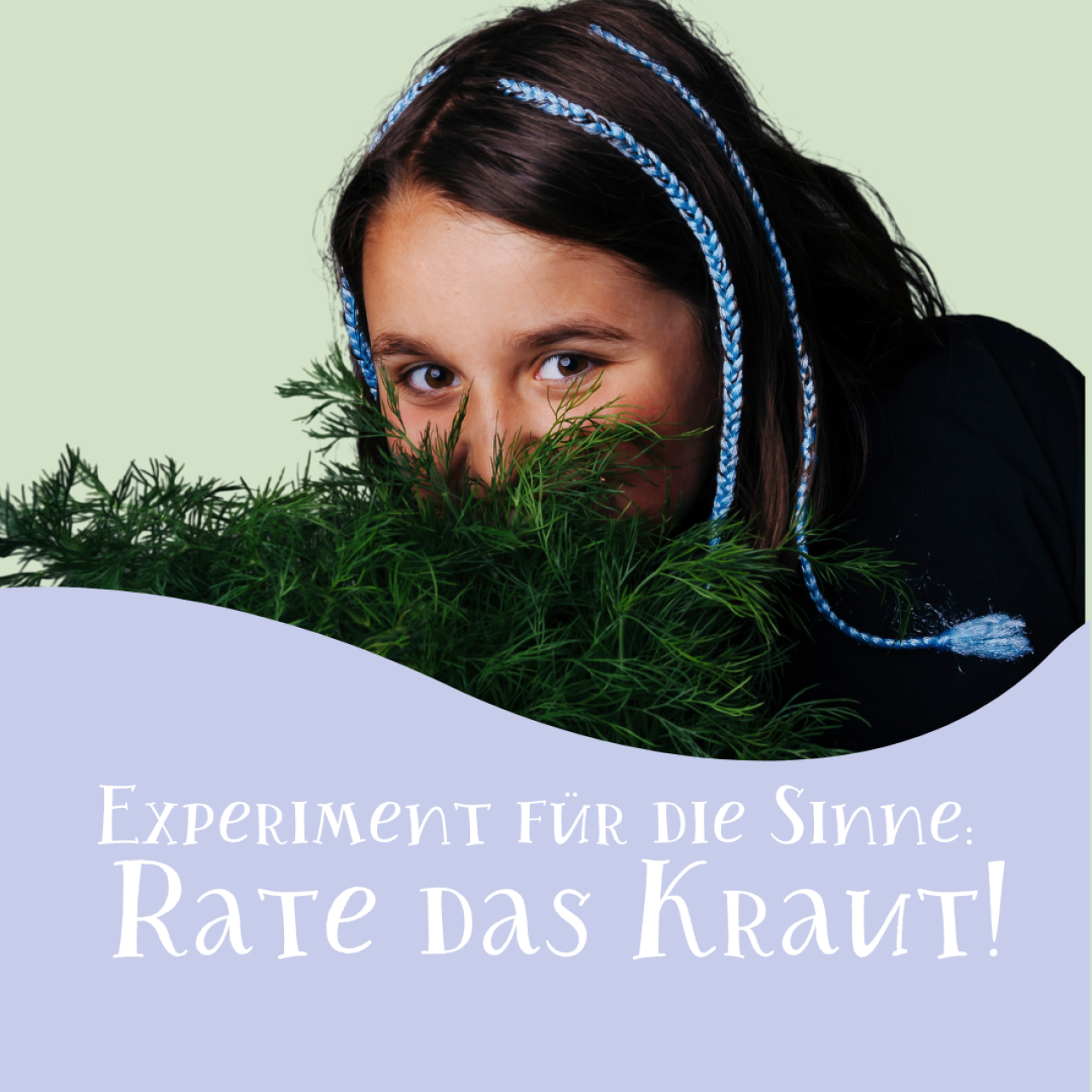 Kräuter-Ratespiel