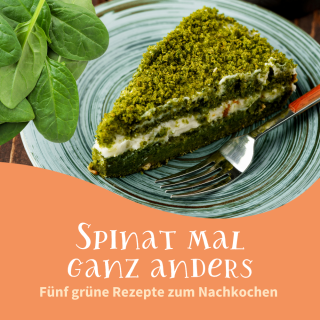 Spinat-Rezepte