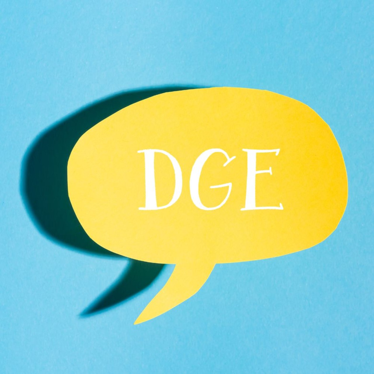 25.01.2024 - Workshop "Ern&auml;hrungskonzept der DGE"